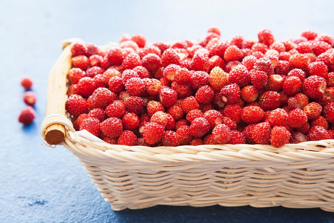 Viele Walderdbeeren im Korb