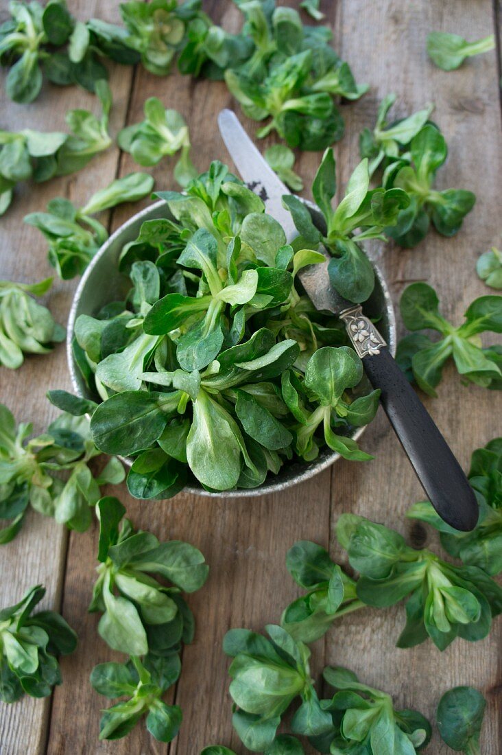 Lamb's lettuce being washed