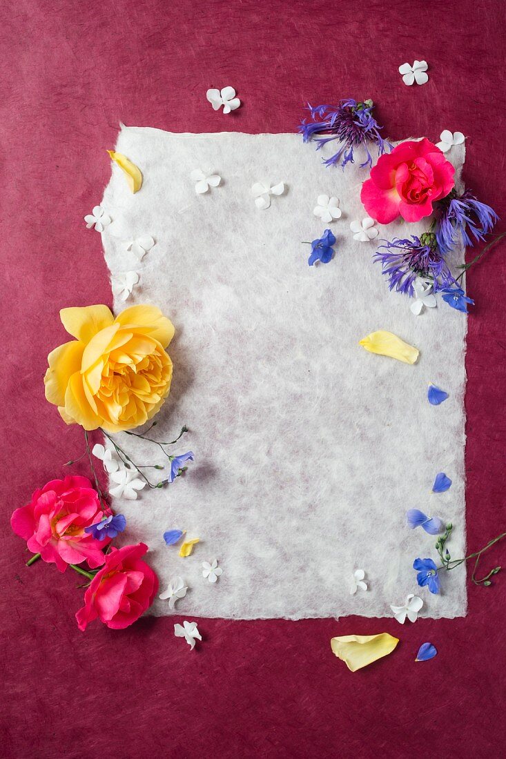 Frame of roses, cornflowers and hydrangea flowers around sheet of paper