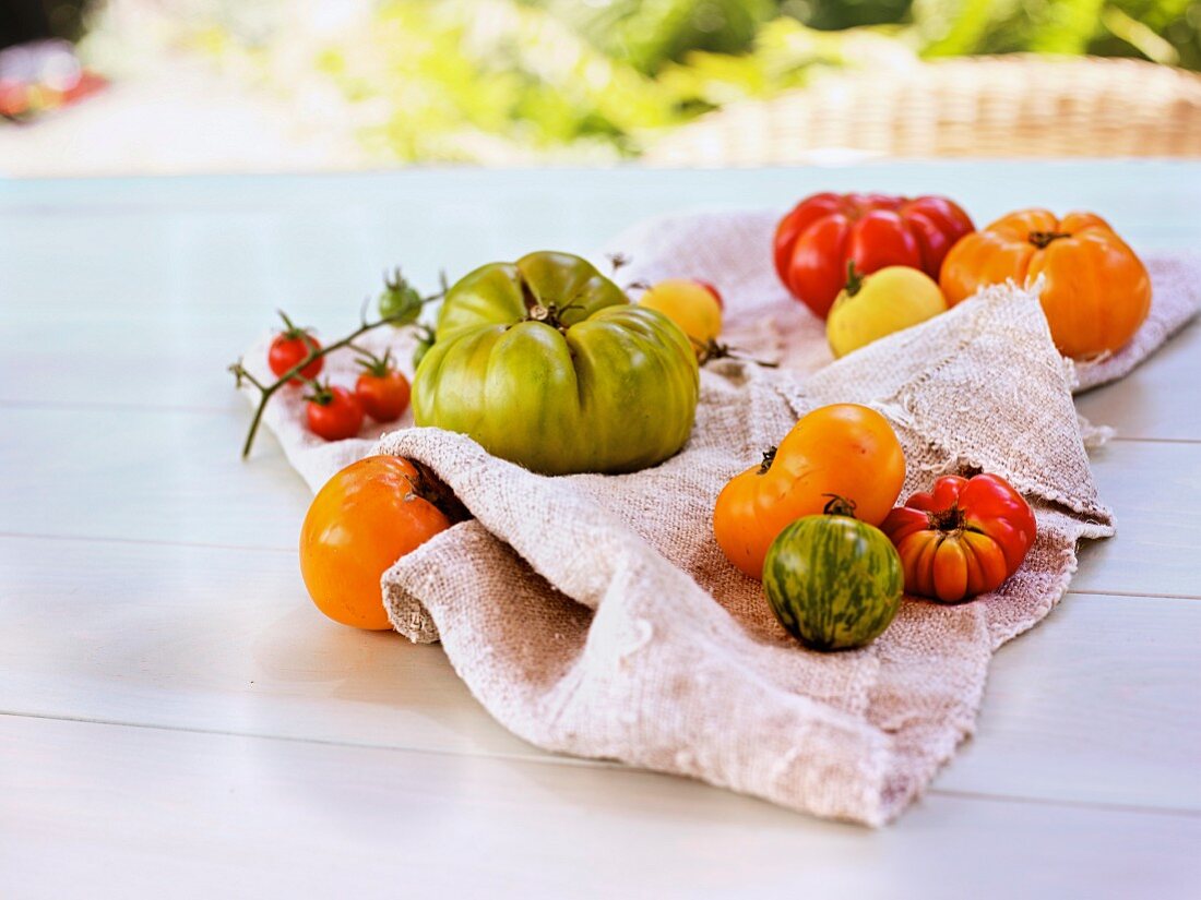 Various heirloom tomatoes on a table outside