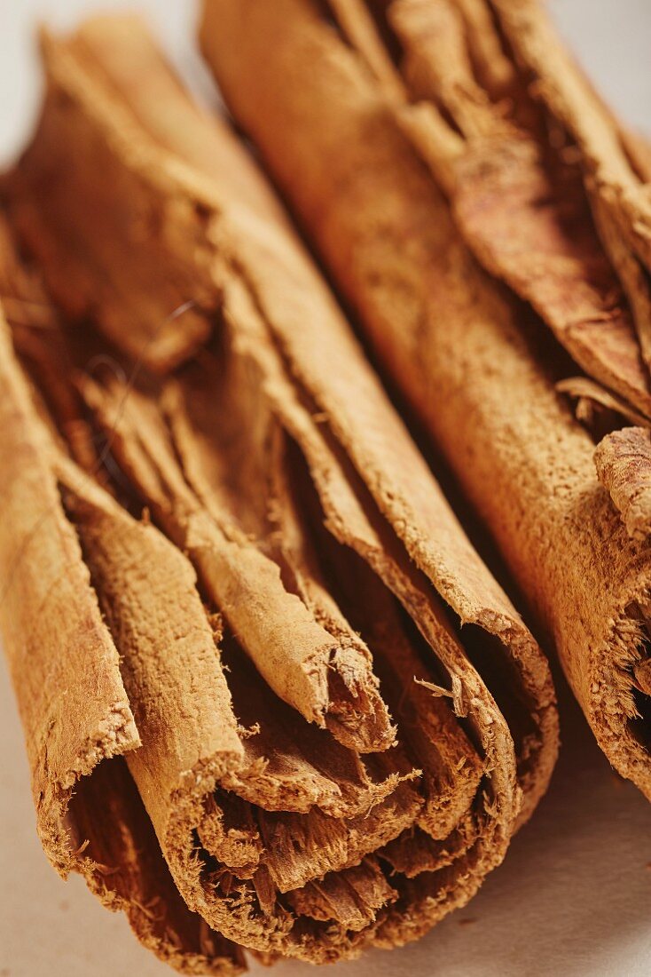 Mexican cinnamon sticks (close-up)