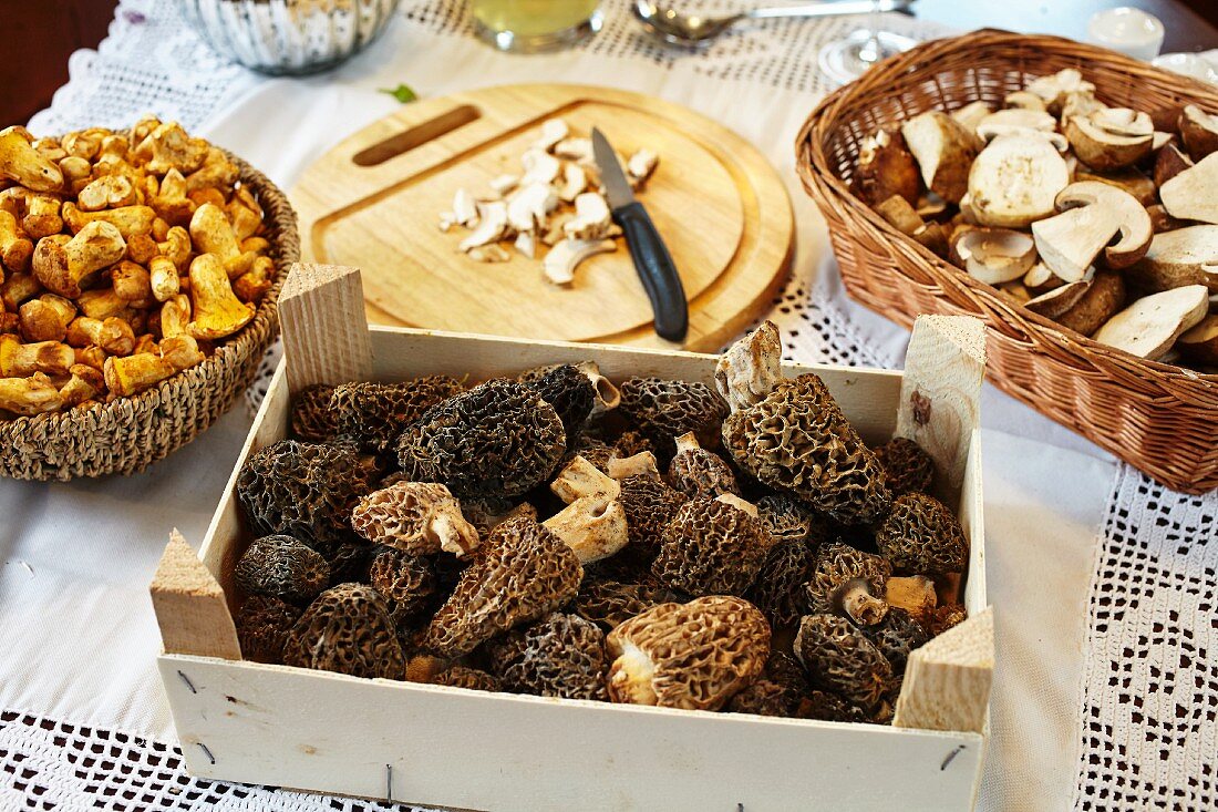 Porcini mushrooms, chanterelle mushrooms and morel mushrooms on a table with a white tablecloth