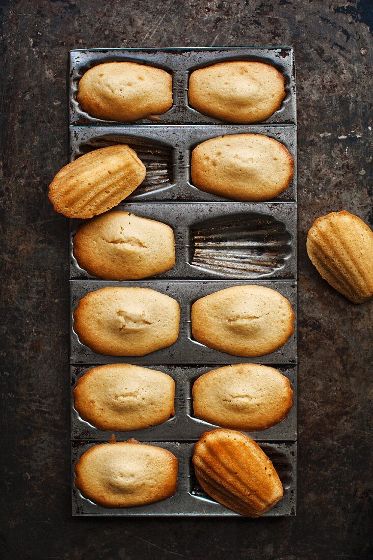 Madeleines in a baking tin (seen from above)