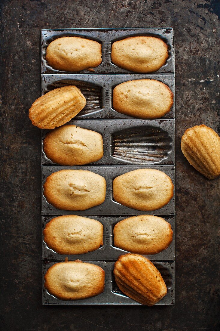 Madeleines in der Backform (Draufsicht)