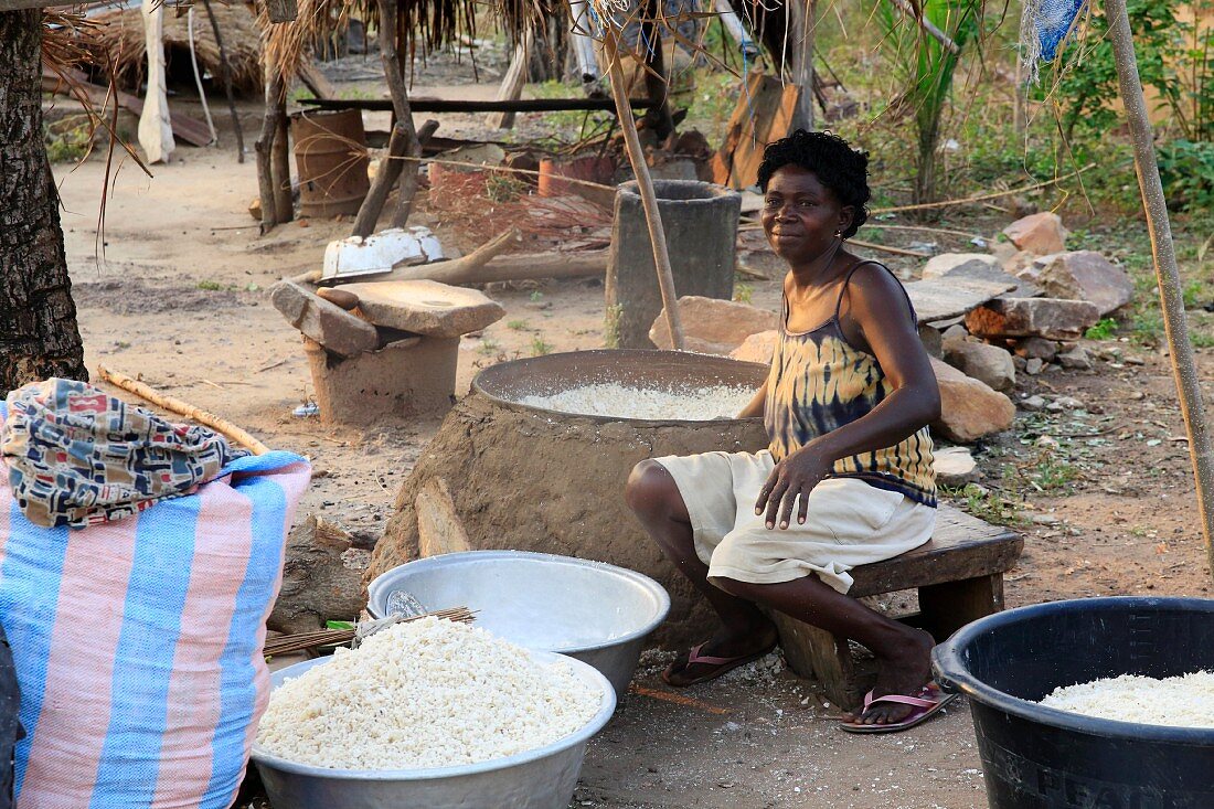 Dried cassava in the village of Datcha, Togo, West Africa