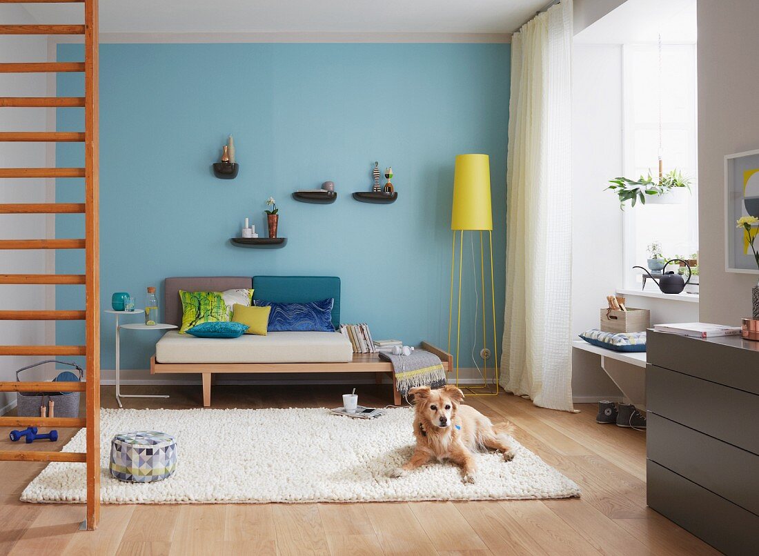Sofa mit Ablage, davot Hund auf Teppich und Sprossenwand in Wohnzimmer mit blau getönter Wand