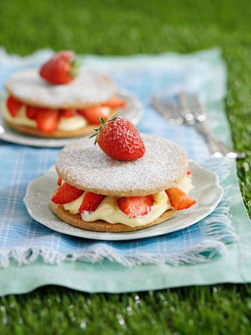 strawberry shortcake with cream filling for a picnic