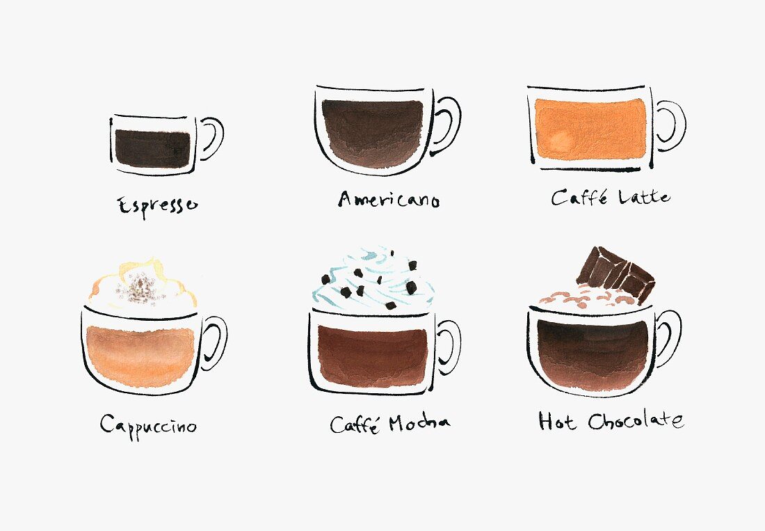 Sechs verschiedene Kaffeespezialitäten (Illustration)