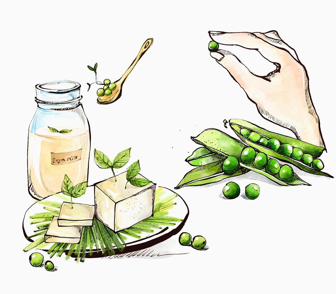 An arrangement of of soy milk, tofu and soya beans (illustration)