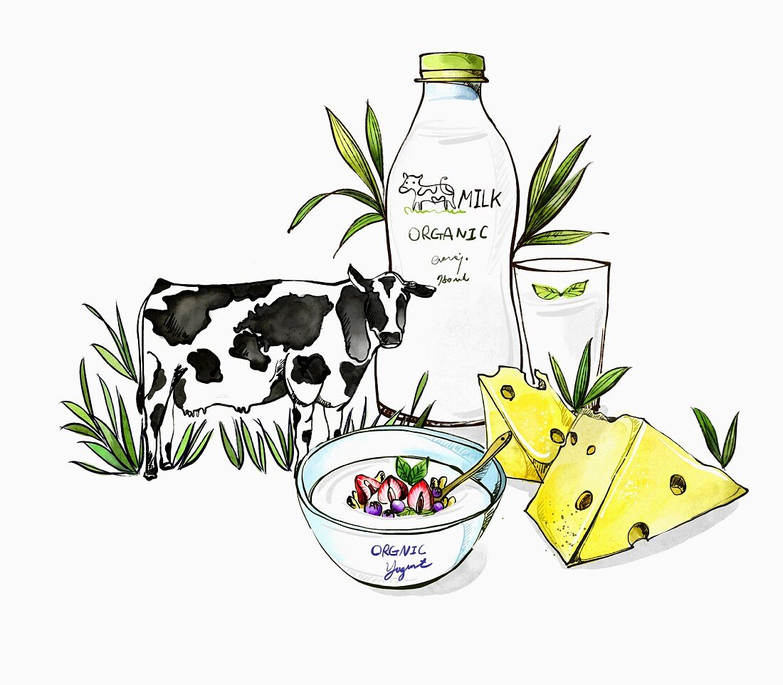 An illustration of dairy products