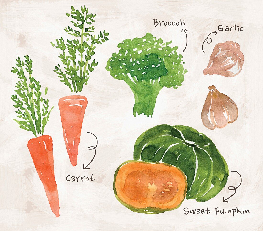 An arrangement of vegetables with carrots, broccoli, garlic and pumpkin (illustration)