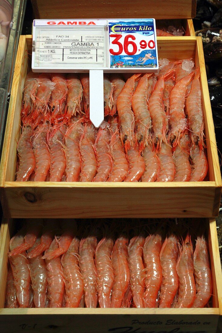 Fresh gambas at a fish market in Bilbao, Basque Country, Spain