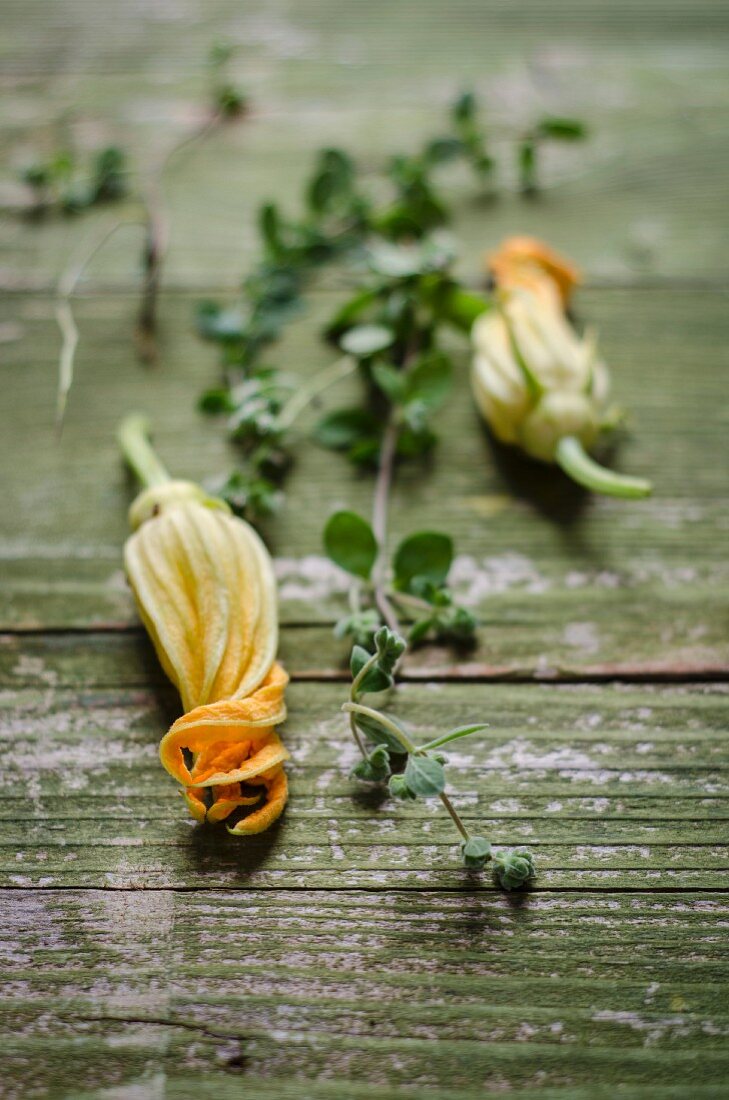 Zucchiniblüten und Majoran