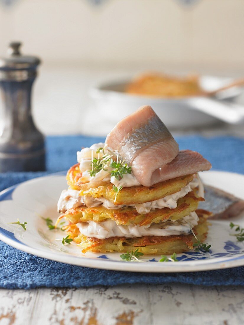 Soused herring fillets with potato cakes, Germany