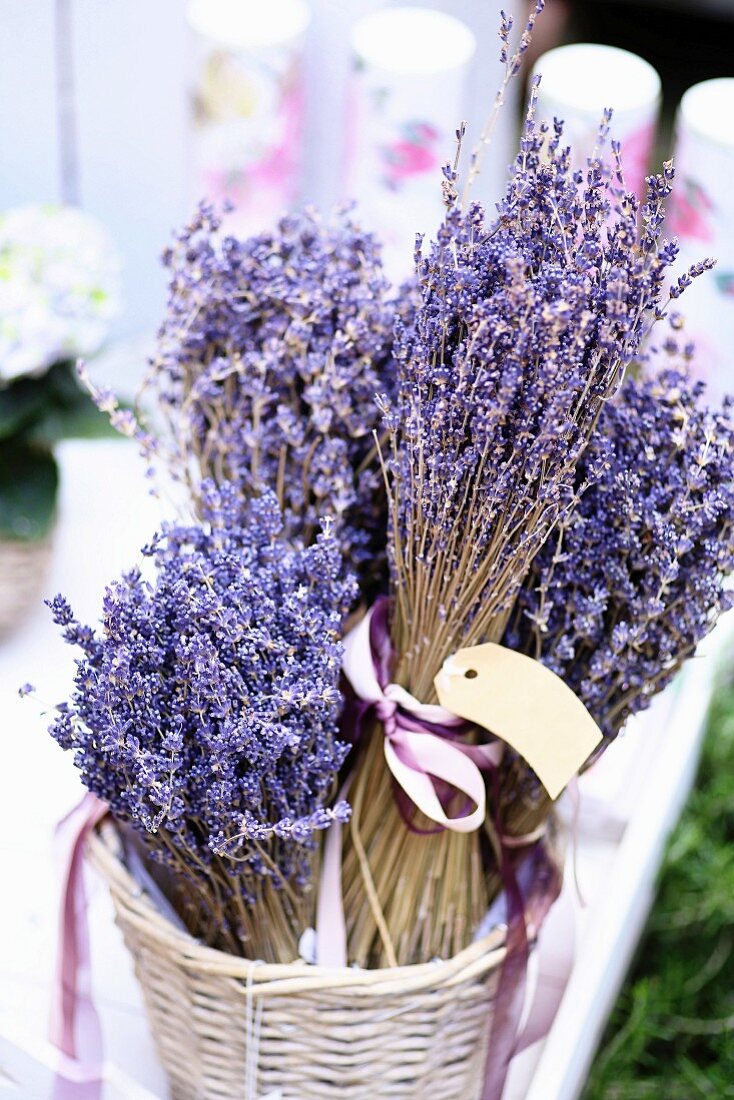 Basket of lavender bunches