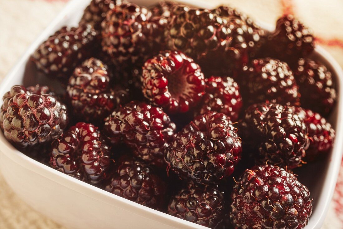 A bowl of black raspberries