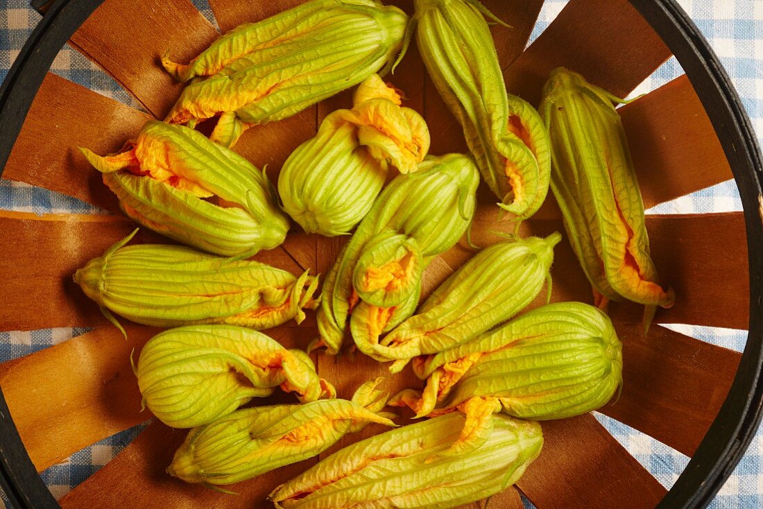 Fresh courgette flowers from Pennsylvania, USA