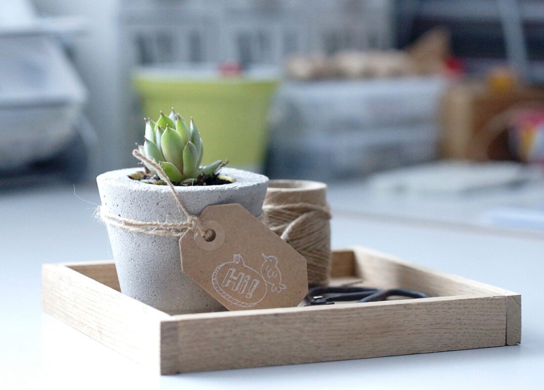 Hand-made wooden tray for arrangements of ornaments and plants