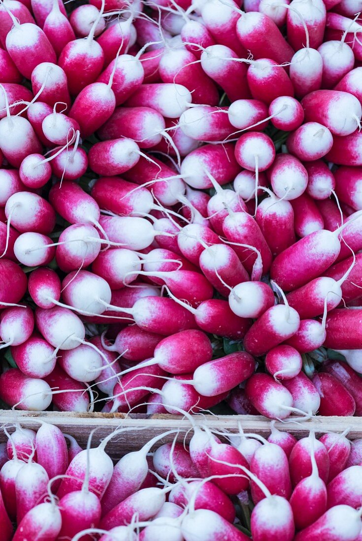 Radishes at a market