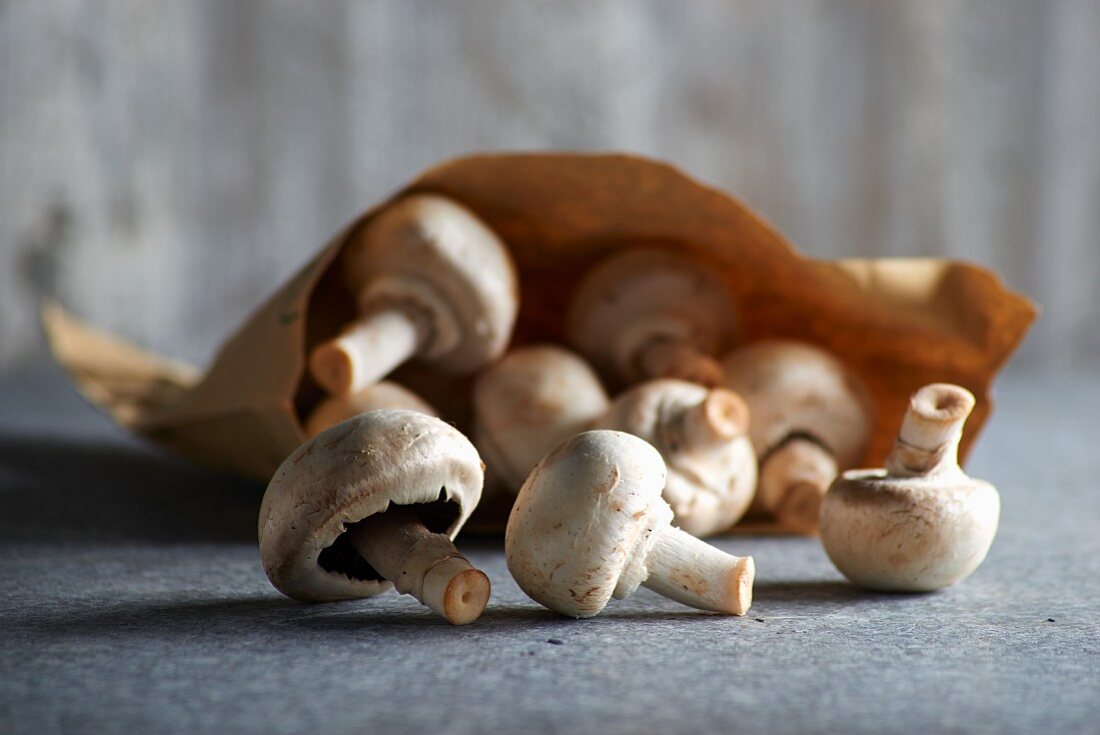 Frische Champignons mit Papiertüte