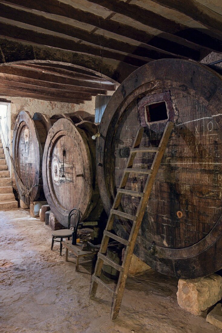 Alte Fässer im Weinkeller der Finca Raims, Mallorca