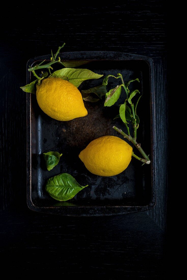 Zwei Zitronen mit Blättern in schwarzer Schale