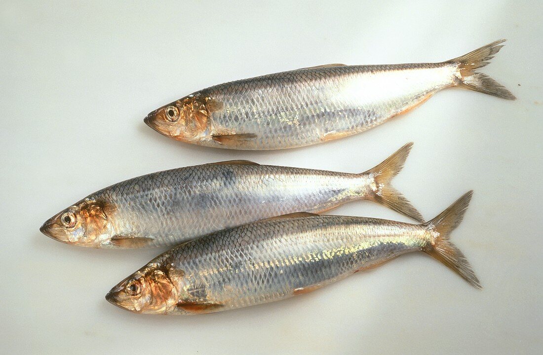 Three herrings