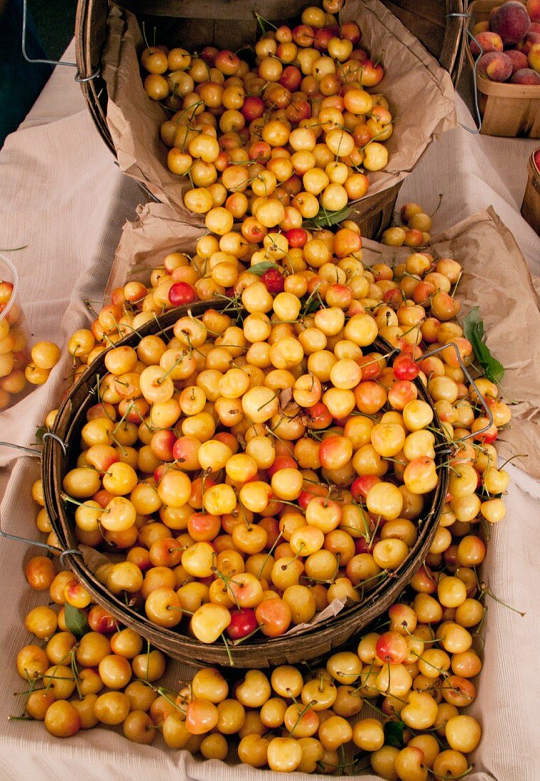 Baskets of cherries at a farmers market