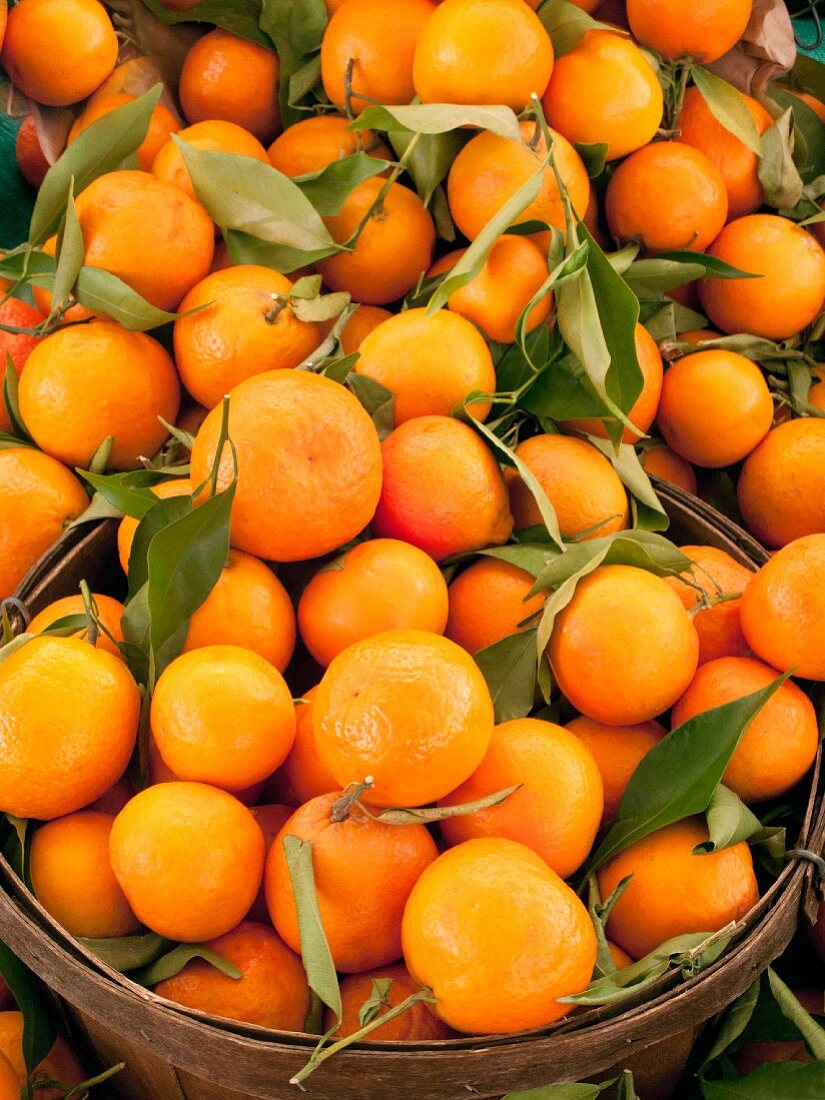 Navel-Orangen mit Blättern im Korb