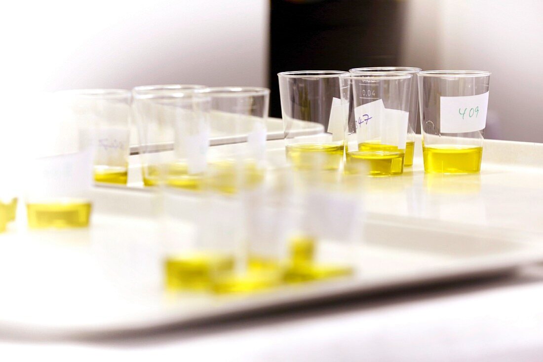 Verschiedene Olivenöle zum Testen in Plastikbechern