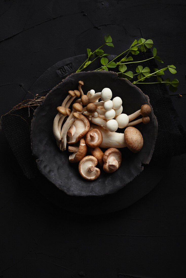 Shimeji and shiitake mushrooms on a black plate