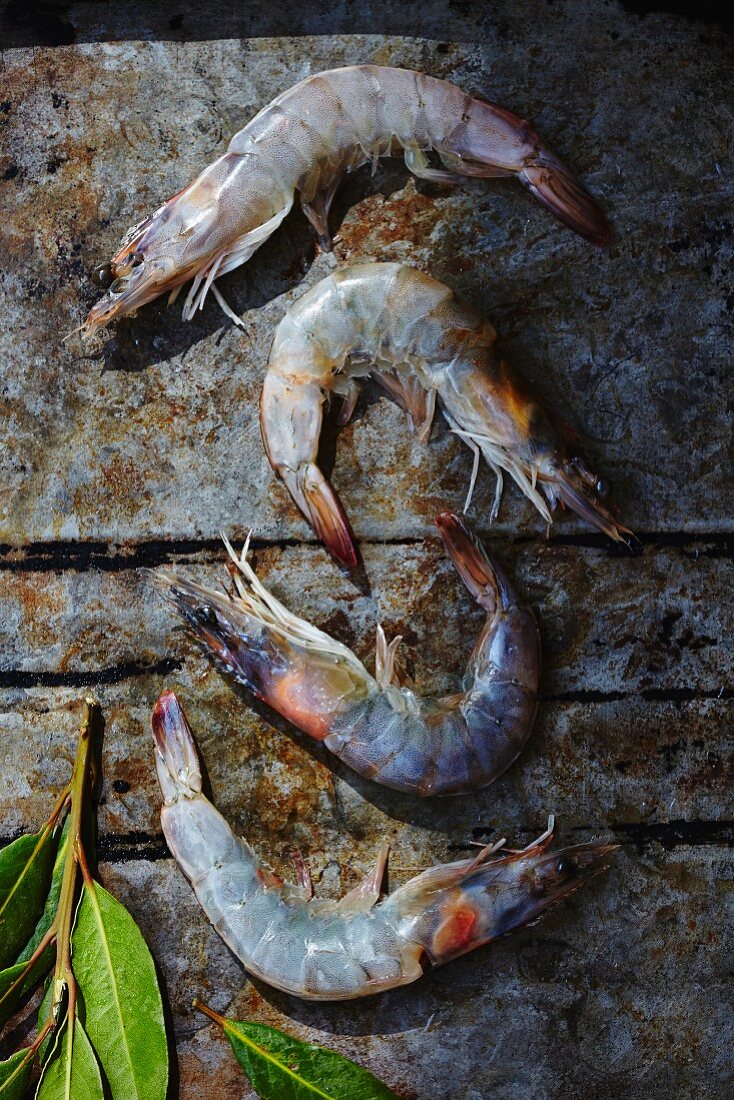 Fresh prawns with bay leaves on a baking tray