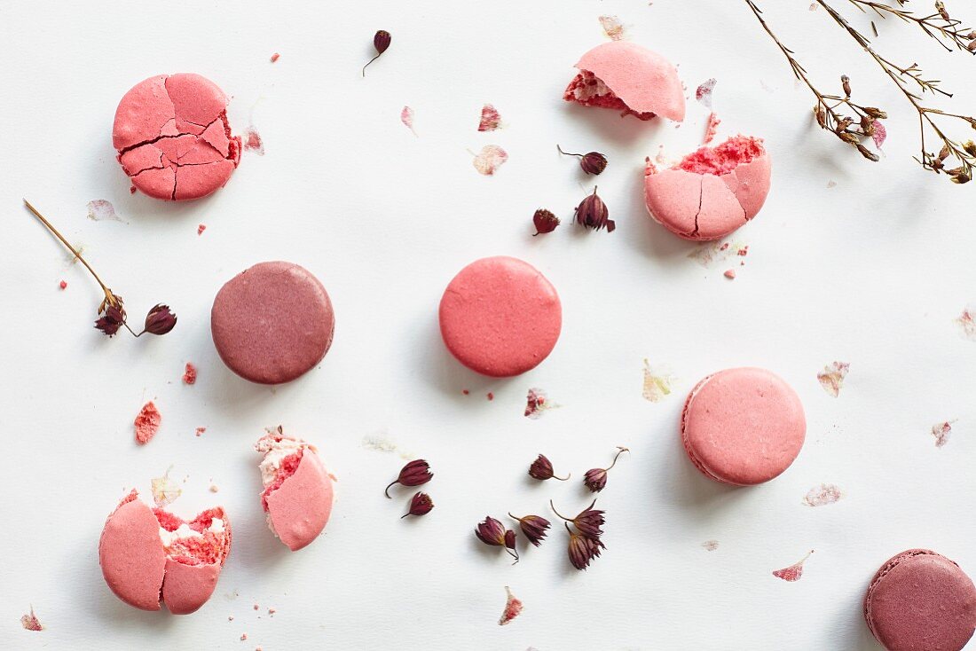 Pink and purple macaroons (seen from above)