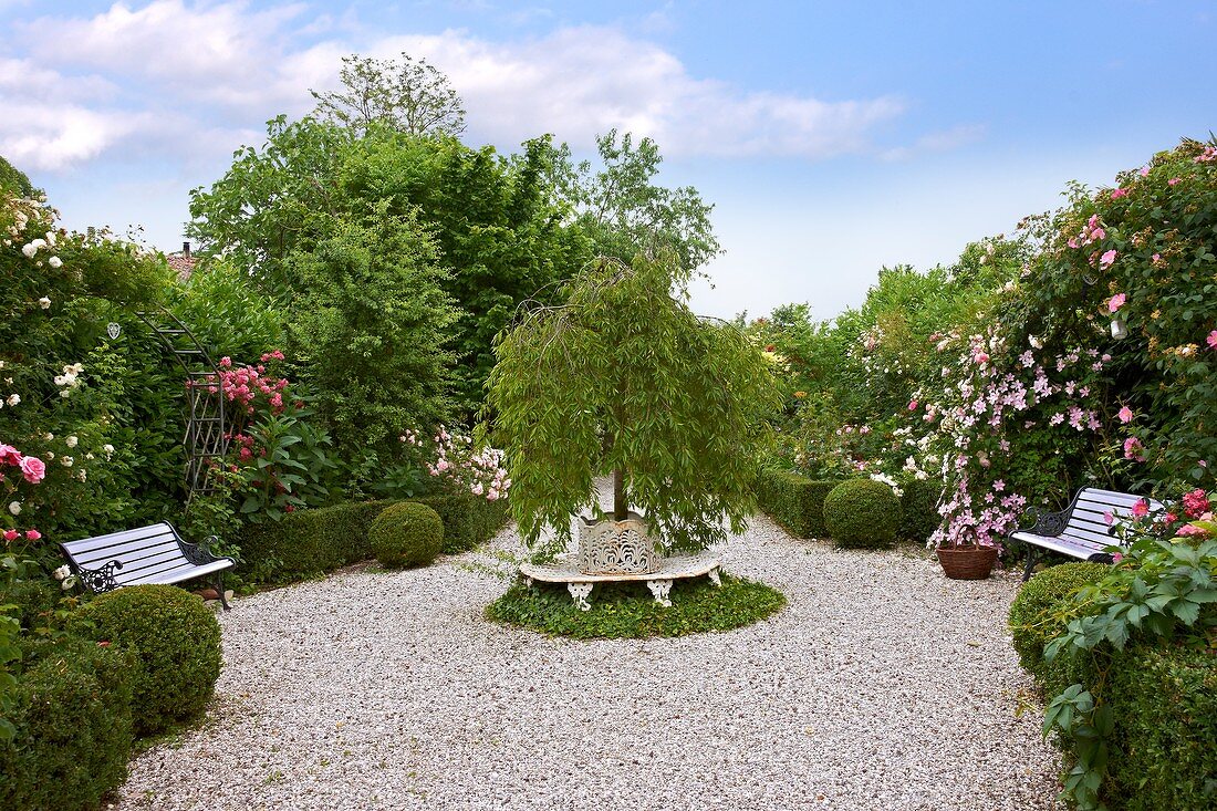 Von geschnittenen Buchshecken, dichten Gehölzen und blühenden Rosenbüschen umgebener Kiesplatz mit Gartenbänken