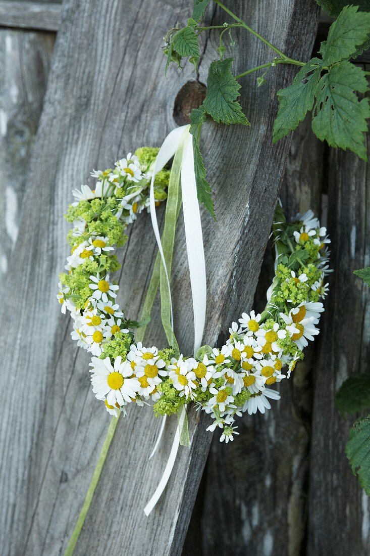 Wild-flower wreath of ox-eye daisies, chamomile and lady's mantle decorated with ribbons on wooden board