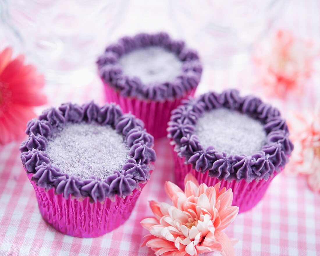 Cupcakes decorated with blackcurrant cream and sugar