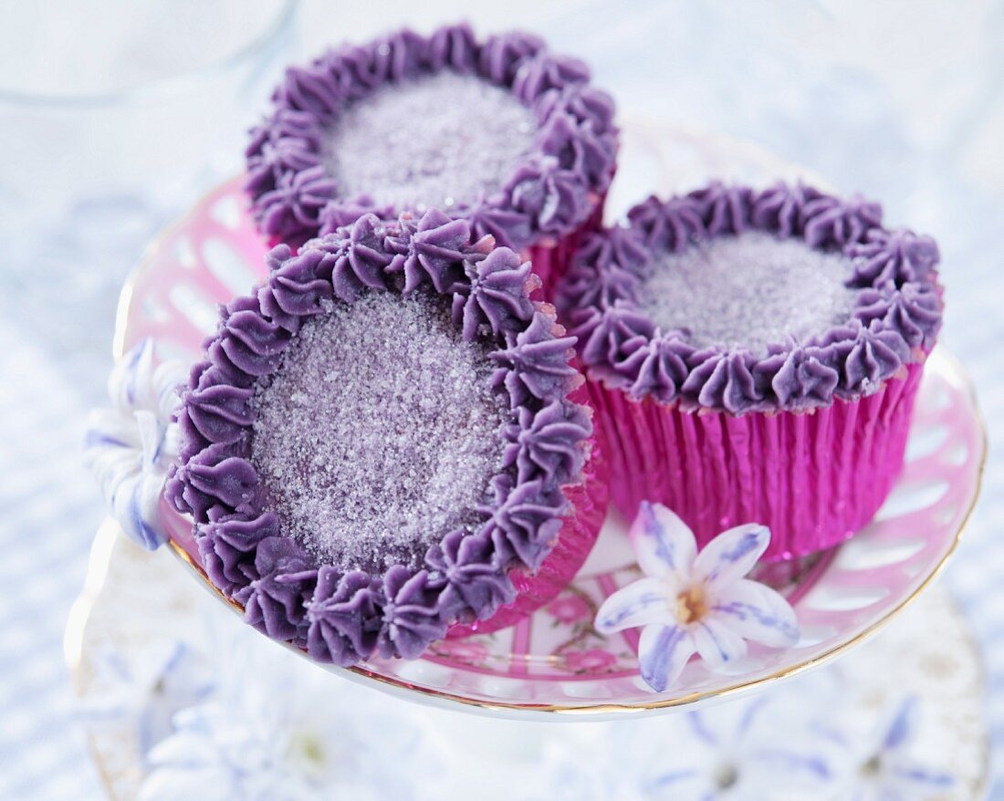 Cupcakes mit schwarzer Johannisbeercreme und Zucker