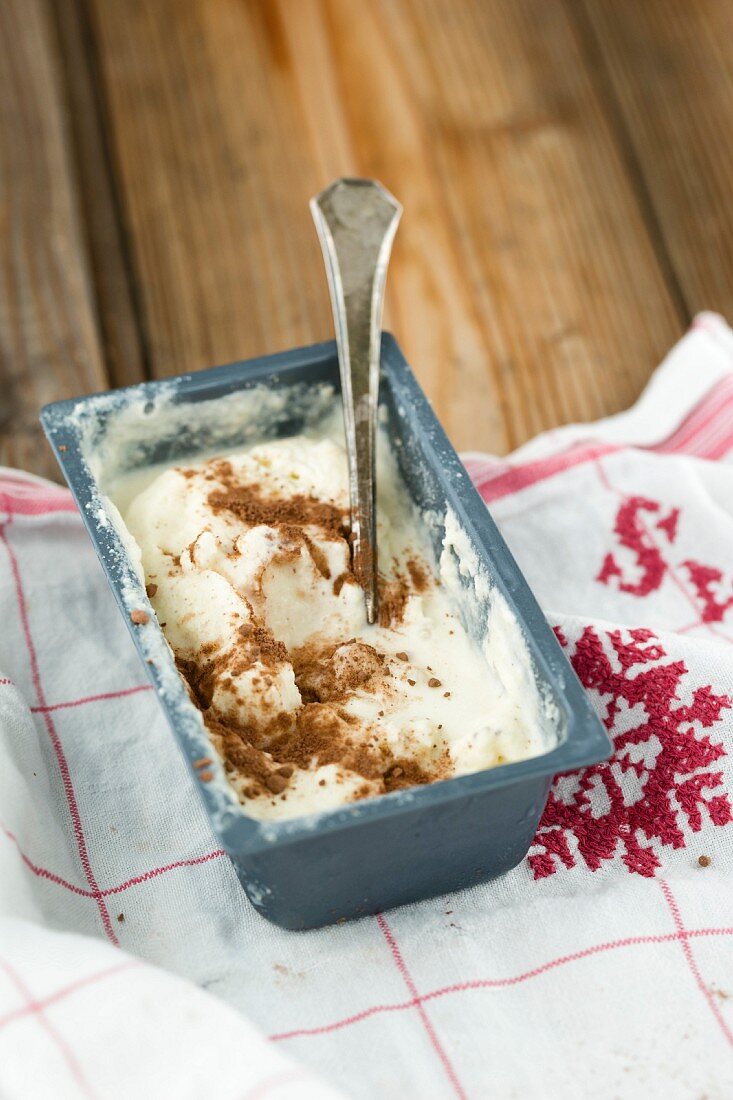Vanilla ice cream dusted with cocoa powder in an ice cream container