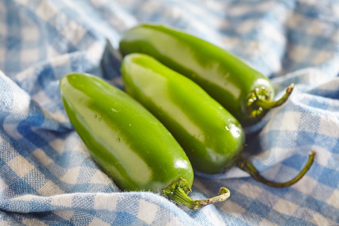 Three fresh, green jalapeños