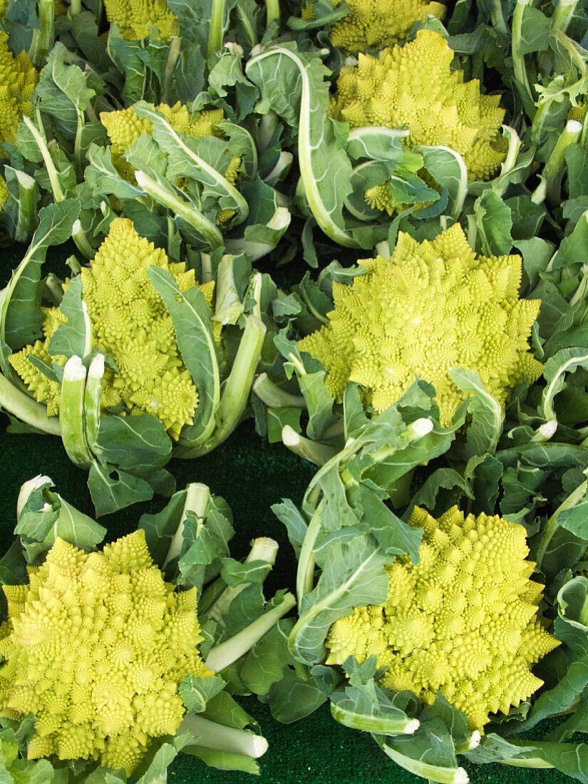 Marktstand mit Romanesco Blumenkohl