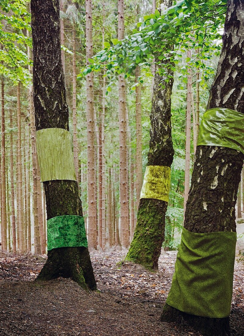 Grüne Dekorationsstoffe zur Präsentation um Bäume im Wald gewickelt