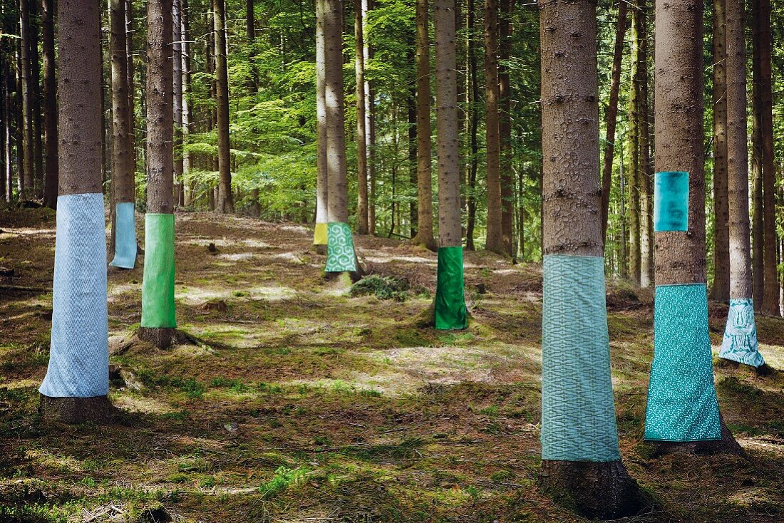 Green decorative fabric wrapped around trees in a forest