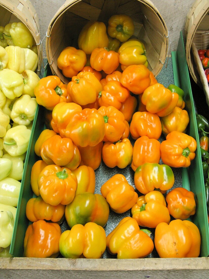 Orangefarbene Paprikaschoten auf dem Markt