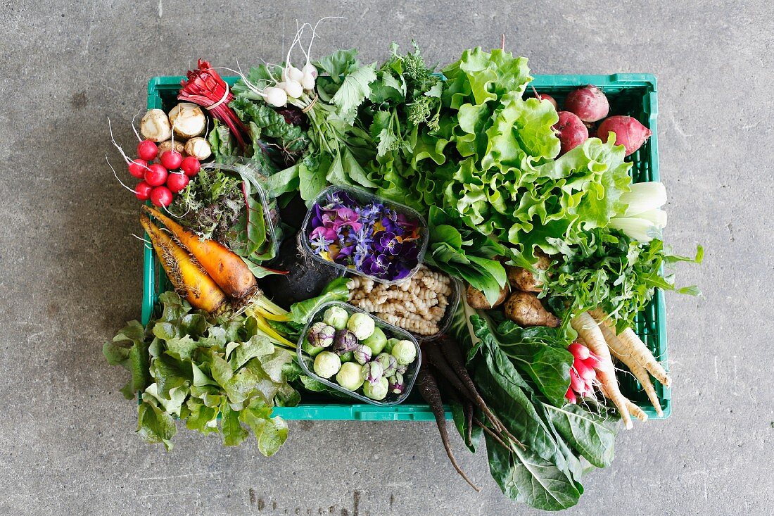 Gemüsekiste mit Biogemüse und Salat (Draufsicht)