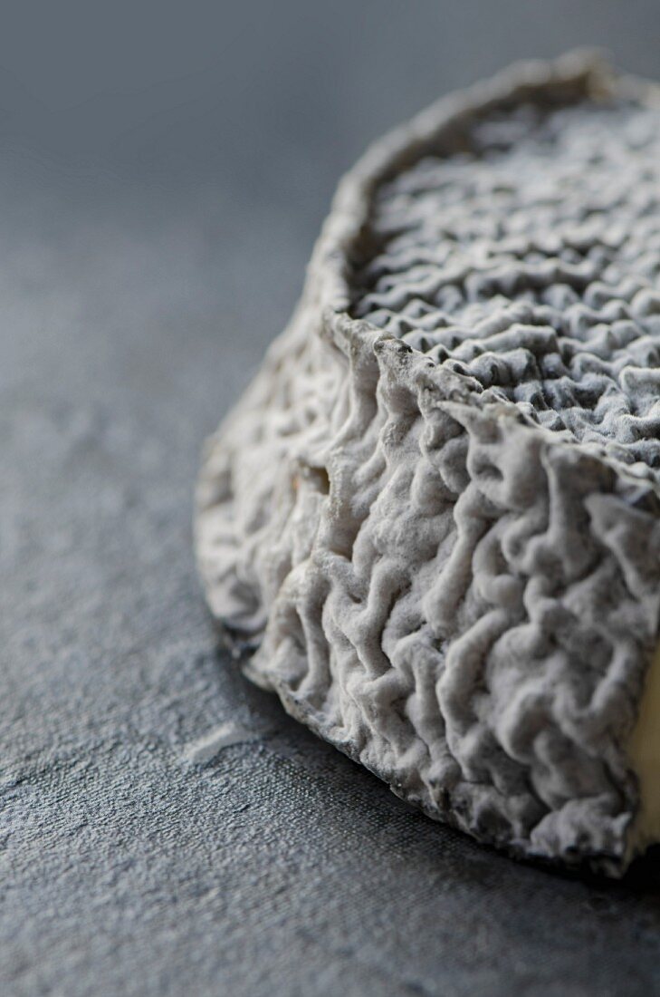 French goat cheese with ash (detail)