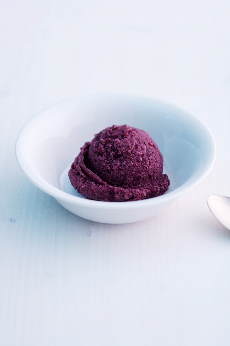 Buttermilk and blueberry sorbet