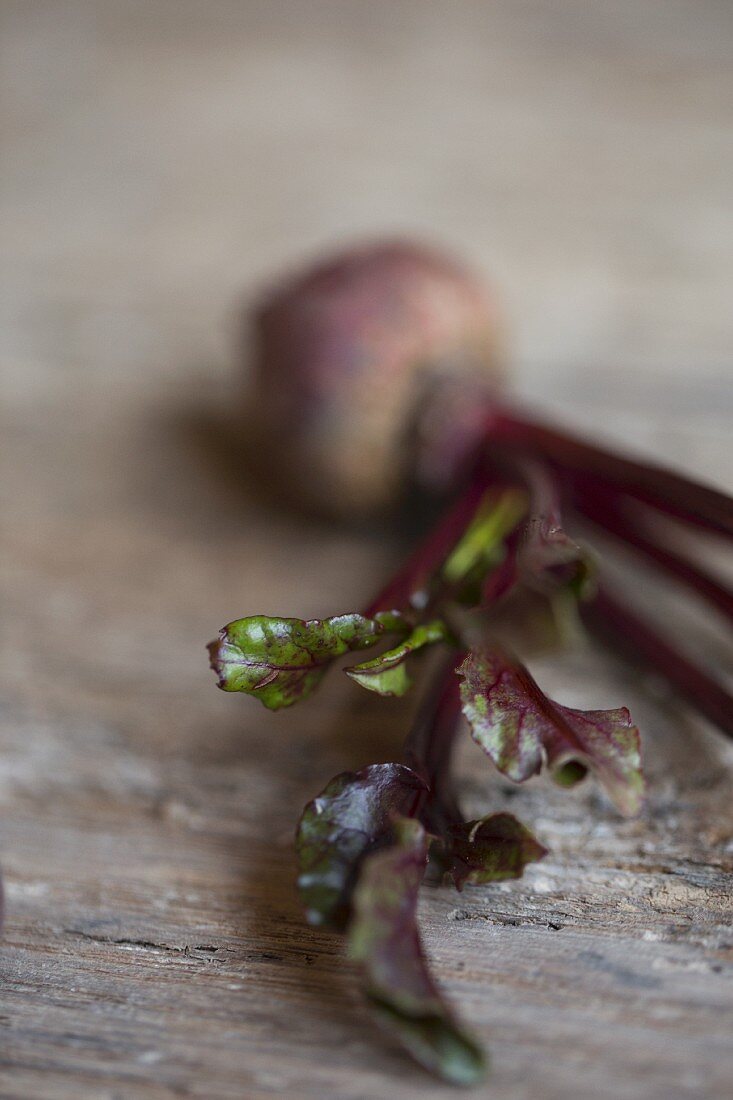 A baby beetroot with leaves