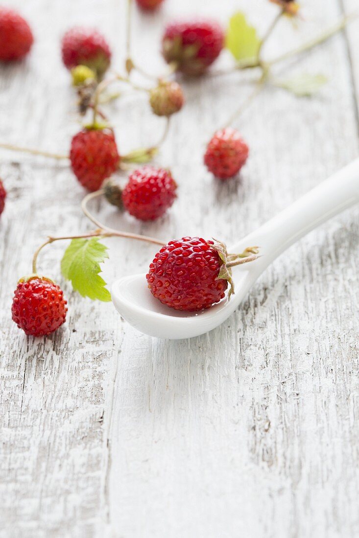 Walderdbeeren, davon eine auf weißem Porzellanlöffel