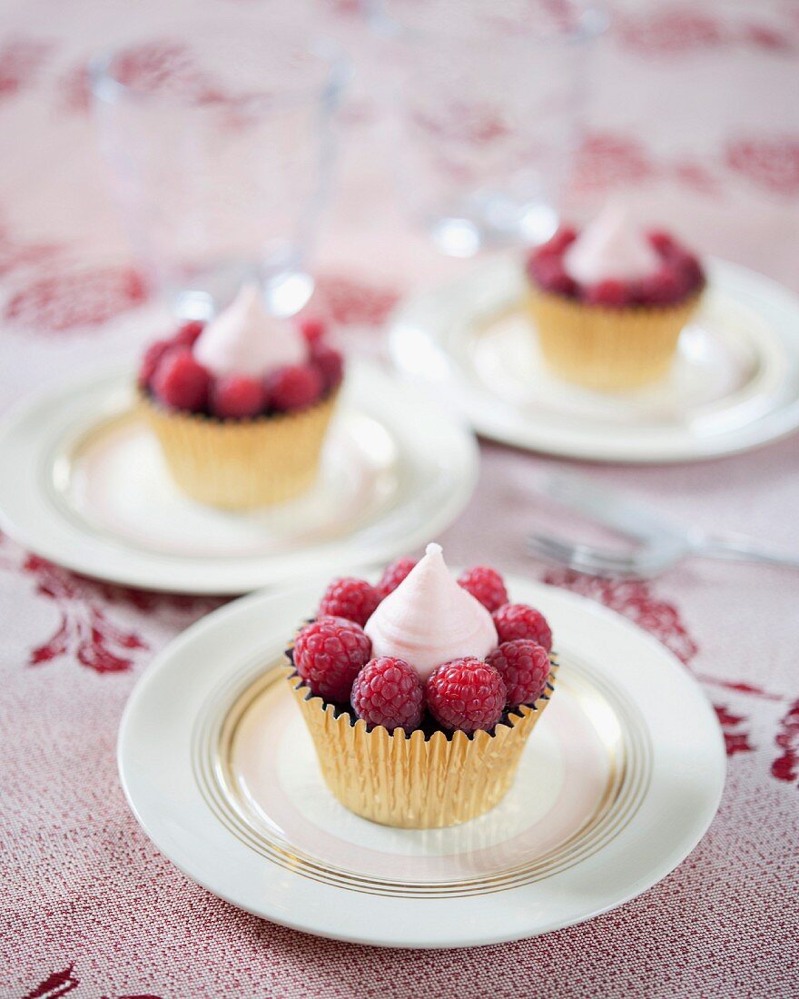 Chocolate and raspberry cupcakes