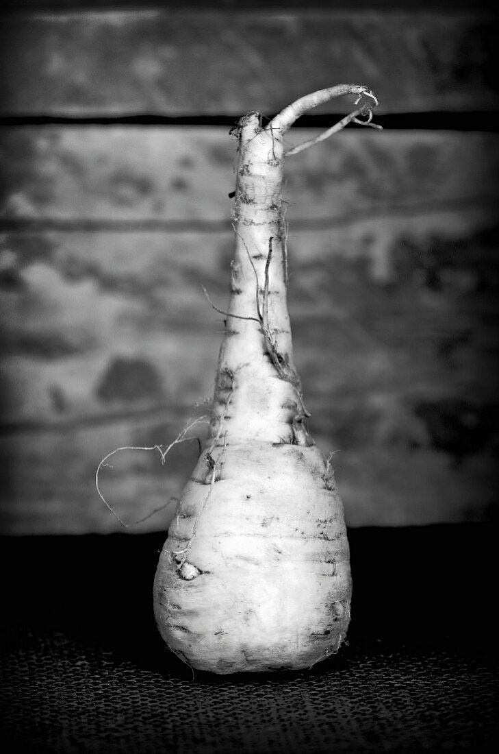 A parsnip (black-and-white shot)